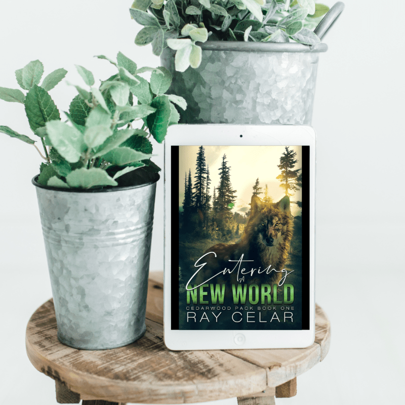 Entering a New World by Ray&nbsp;Celar