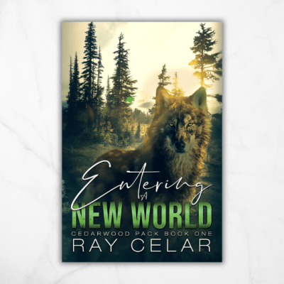 Entering a New World by Ray&nbsp;Celar