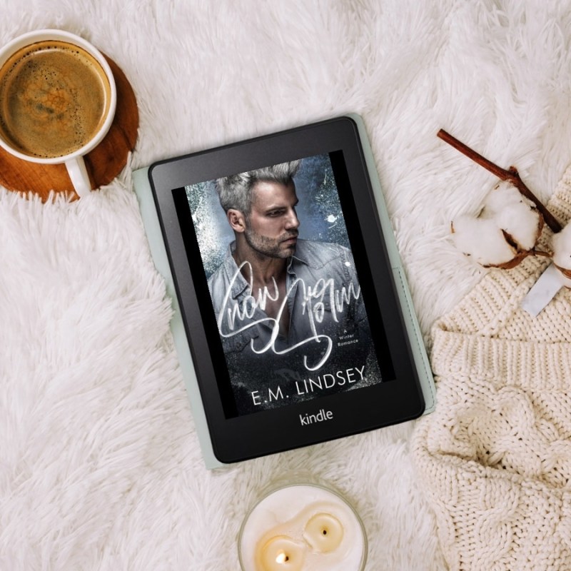 Snow Storm by E.M.&nbsp;Lindsey