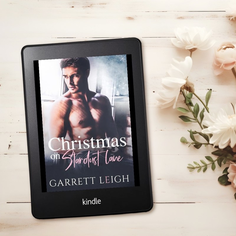 Christmas on Stardust Lane by Garrett&nbsp;Leigh
