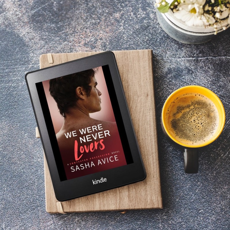 We Were Never Lovers by Sasha&nbsp;Avice