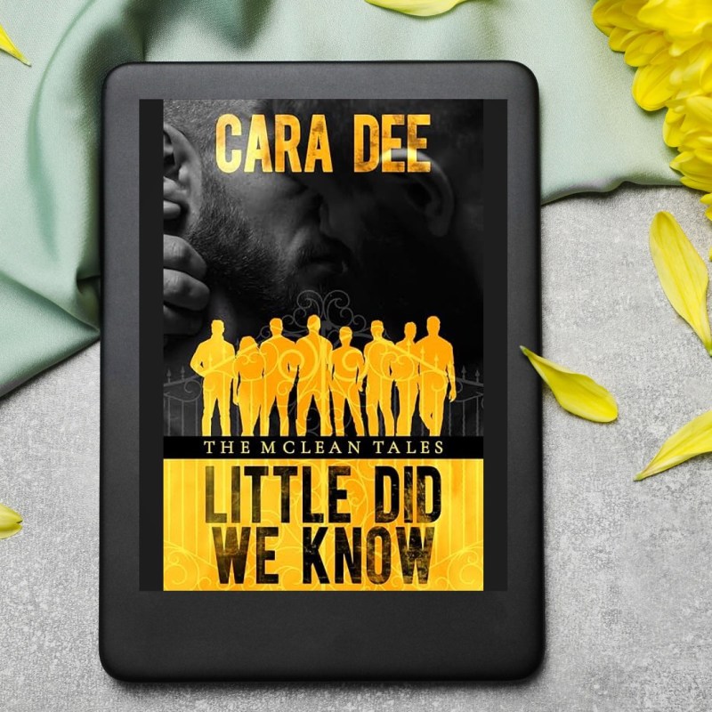 Little Did We Know by Cara&nbsp;Dee