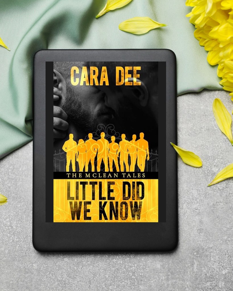 Little Did We Know by Cara&nbsp;Dee